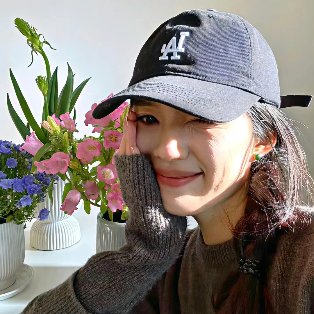麻烦专家
